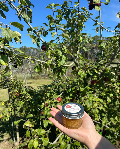 Homemade Apple Jam