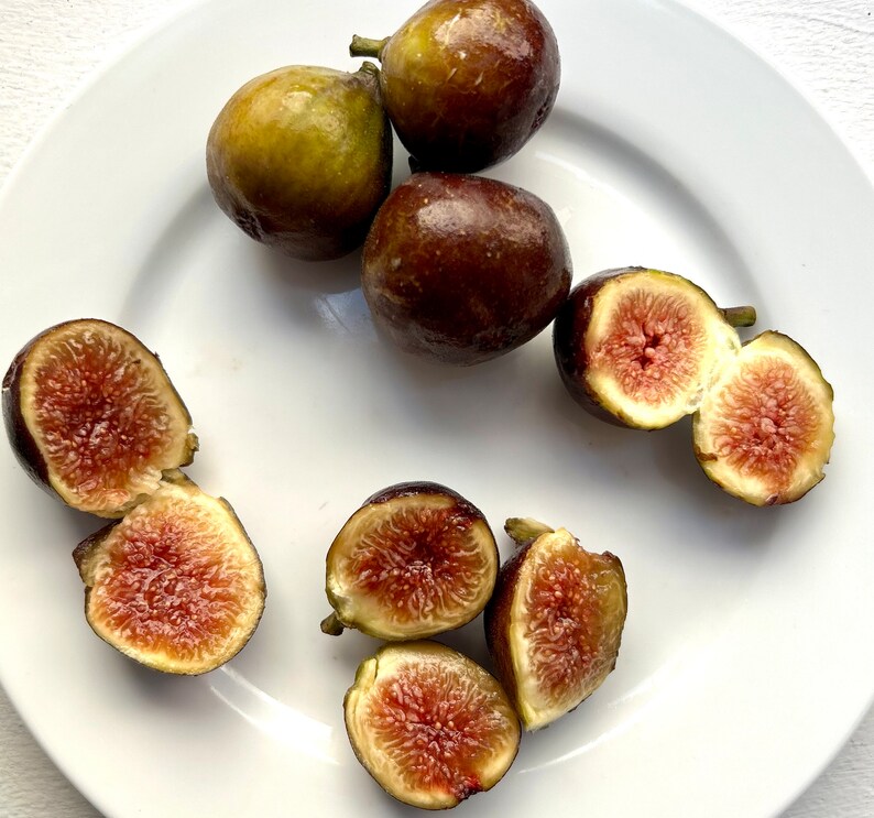 Homemade Fig Jam